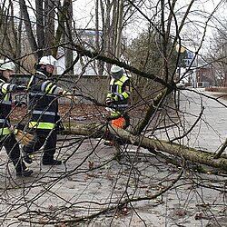 Stadtgebiet München: Sturmtief Sabine